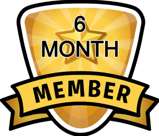 6 Month Subscription
